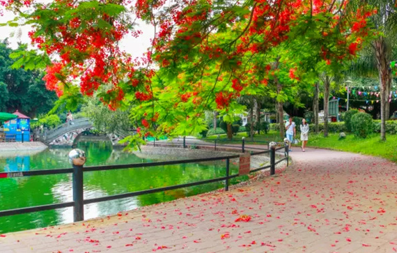 北海园林绿化多姿多彩:广西北海旅行社_广西北海旅游网_首家五星北海旅行社