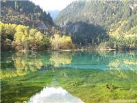 成都、九寨沟、峨嵋、乐山、都江堰、青城山9日游 _相关信息_响水县金海岸旅行社 